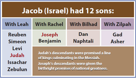 chart - Jacob (Israel) had 12 sons