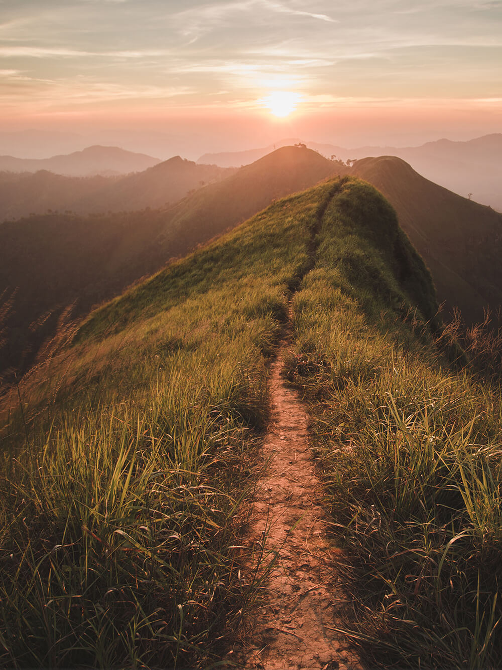 The Narrow Path Tomorrow s World The Narrow Path Tomorrow s World