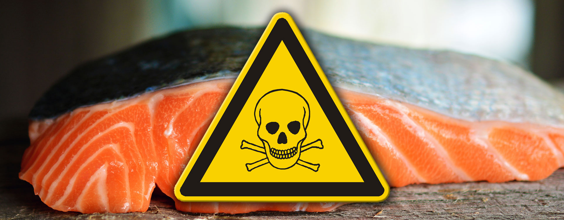 Chemicals Contaminate South African Fish Tomorrow s World