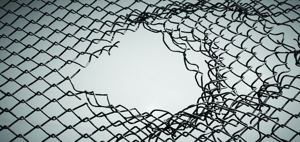 a hole in the fence tomorrow 39 s world christmas menu borders