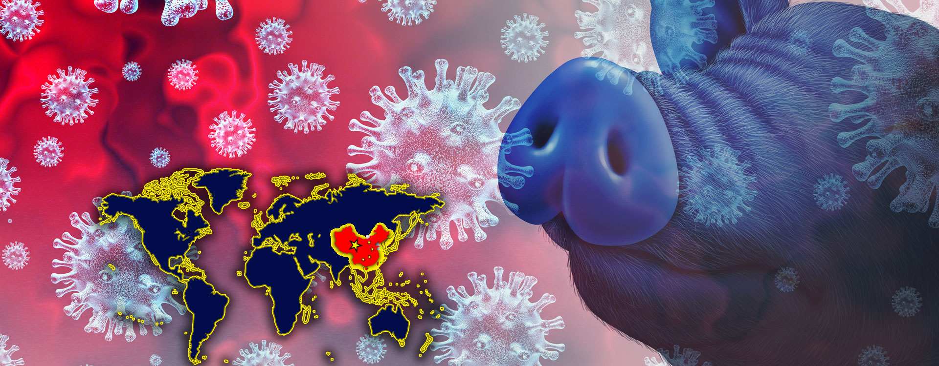 a pig some coronavirus and a map highlighting China