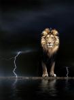 Lion in lightning