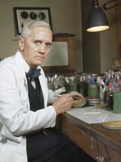 Penicillin: Miracle Drug No More!