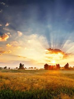 Sunrise over a field