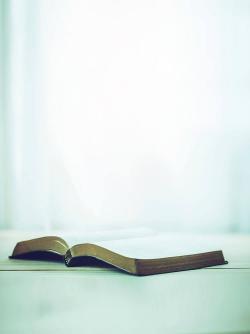 Open bible on a table white background