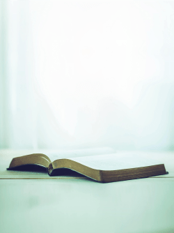 Bible open on a bluish white table and background