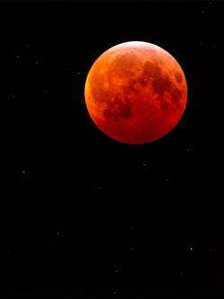 Blood Moon