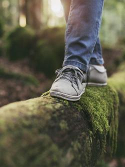 Balancing on a tree trunk