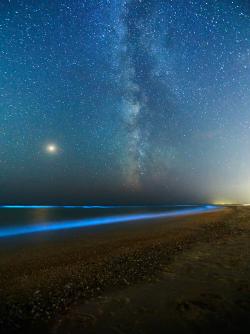 Beach sky glowing plankton