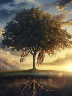 A tree with the American and British flags hanging from it, bathed in the warm glow of a setting sun. Its roots are seen going deep into the soil, suggesting that the origins of these nations go deeper than one might suppose