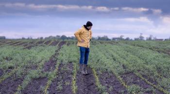 farmer standing in a cornfield full of weeds