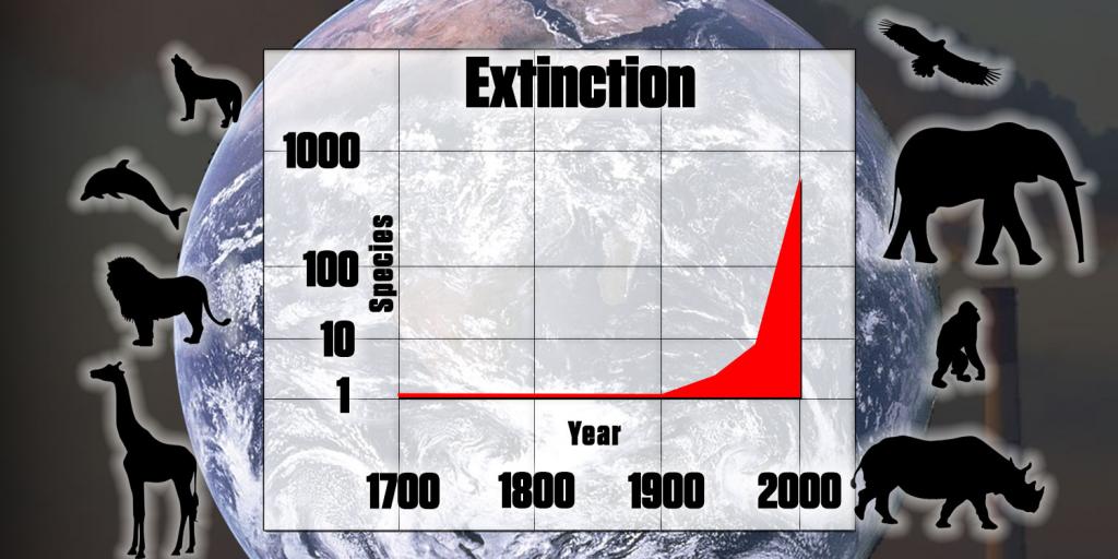 Huge Animal Population Decline | Tomorrow's World Huge Animal Population Decline | Tomorrow's World