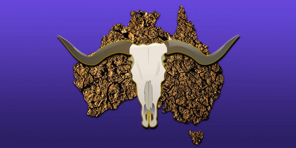 a dry cracking shape of Australian continent overlaid with a cow skull
