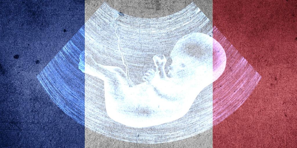 French flag overlaid with a sonogram of an unborn child