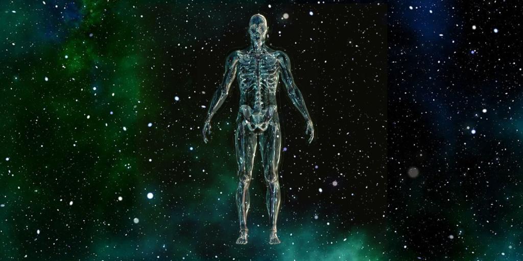 human form with skeletal and vascular systems showing floating in outer space