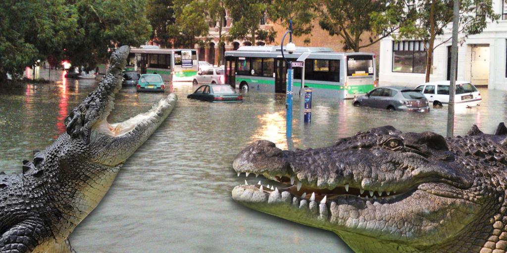 flooding in Queensland and salt-water crocodiles