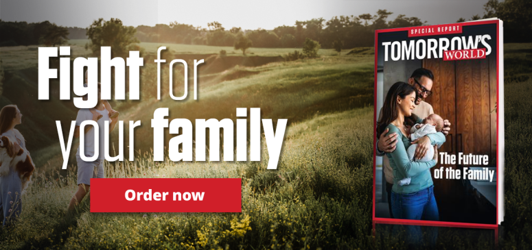 Literature Offer: The Future of the Family (FF)