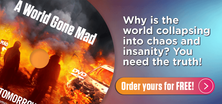 Literature Offer: A World Gone Mad (MAD)