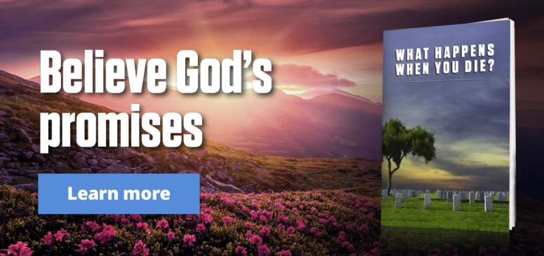 Literature Offer: What Happens When You Die? (WYD)