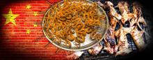 Chinese flag with a platter of snakes and rats on a grill