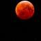 Blood Moon