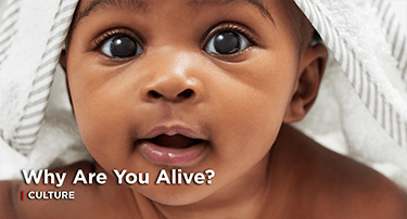 Article: Why Are You Alive?