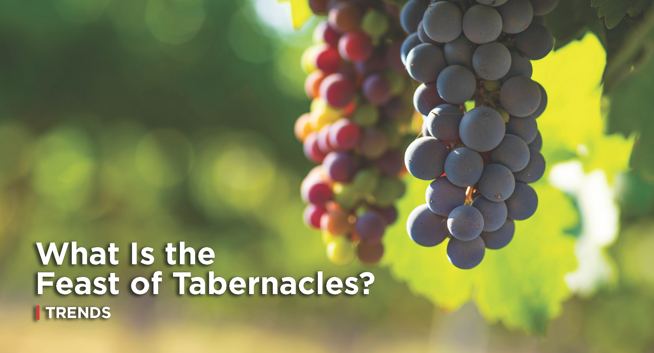Article: What Is the Feast of Tabernacles?